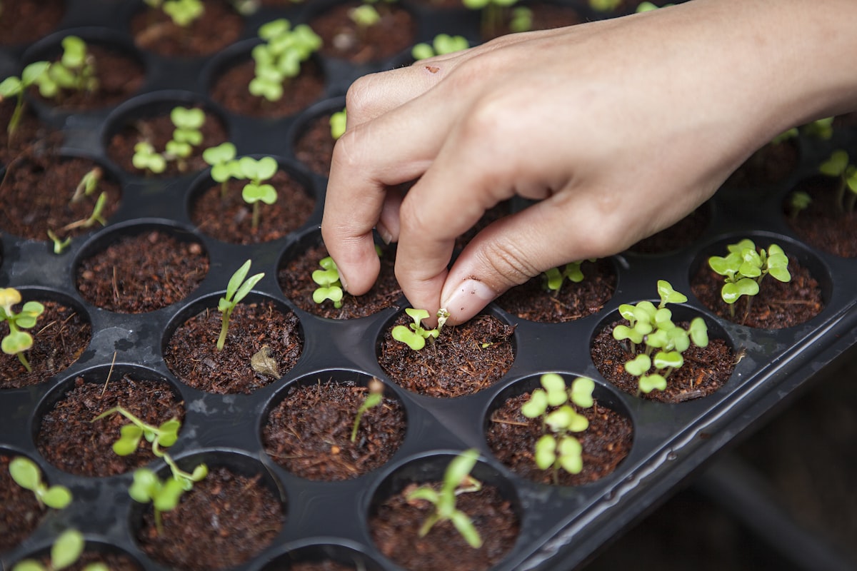 The future of agriculture